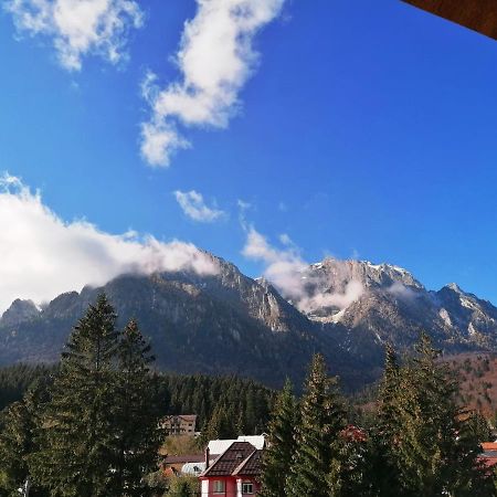 Casa Magica Busteni Buşteni Exterior foto